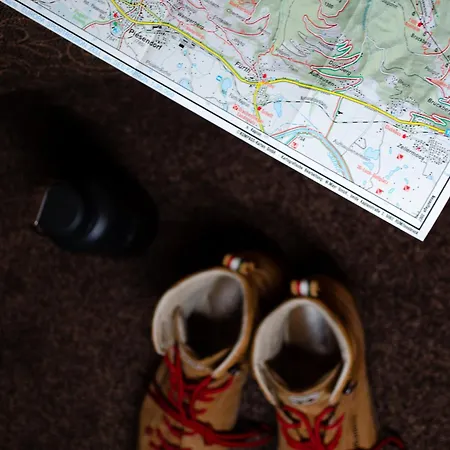 Alm 1350 - Ski-in & Ski-out *