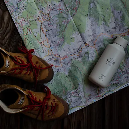 Alm 1350 - Ski-in & Ski-out