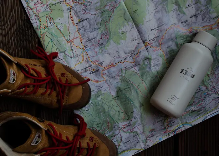 Die Alm 1350 -Joker Card Partner-